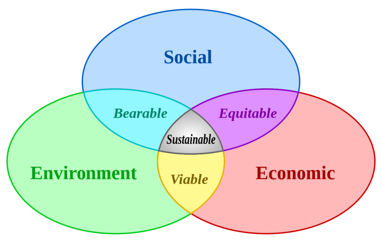 The Power of Sustainability: Exploring the Basics of Sustainable Development.