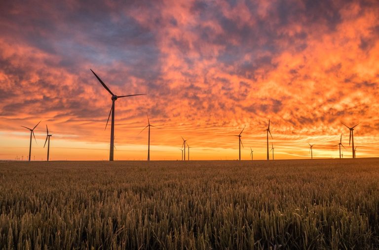 windmills, fields, nature-1838788.jpg